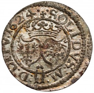 Sigismond III Vasa, L'abri Vilnius 1624