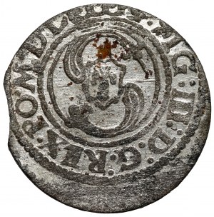 Sigismond III Vasa, L'abri Vilnius 1624