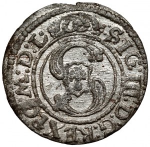Sigismond III Vasa, L'abri Vilnius 1624