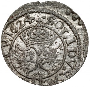 Sigismond III Vasa, L'abri Vilnius 1624