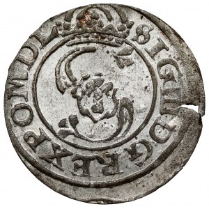 Zygmunt III Waza, Szeląg Wilno 1626