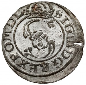 Sigismond III Vasa, L'abri Vilnius 1626