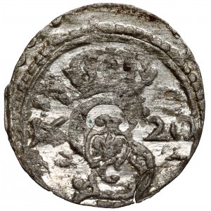 Zygmunt III Waza, Dwudenar Wilno 1620