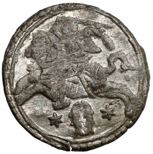 Sigismond III Vasa, Deux jambes Vilnius 1620