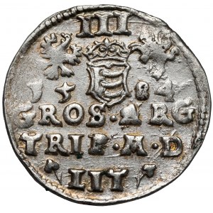 Stefan Batory, Trojak Wilno 1584 - ozdobna zbroja
