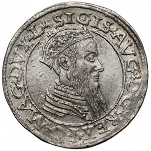 Zygmunt II August, Czworak Wilno 1565