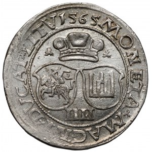 Zygmunt II August, Czworak Wilno 1565