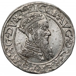 Zygmunt II August, Czworak Wilno 1566
