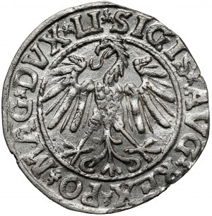 Sigismond II Auguste, demi-penny Vilnius 1546
