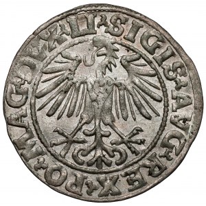 Zygmunt II August, Półgrosz Wilno 1548 - arabska