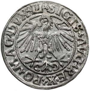 Sigismond II Auguste, demi-penny Vilnius 1548 - arabe