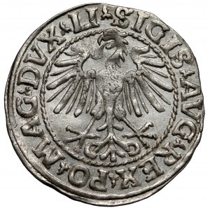 Zygmunt II August, Półgrosz Wilno 1548 - rzymska