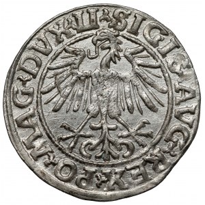 Zygmunt II August, Półgrosz Wilno 1549 - wczesny