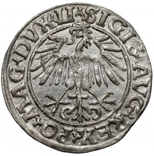 Sigismond II Auguste, demi-penny Vilnius 1549 - début