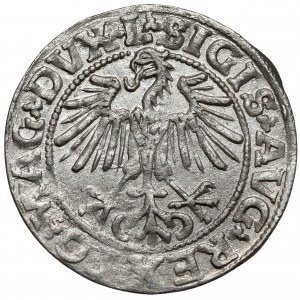 Zygmunt II August, Półgrosz Wilno 1549 - późny
