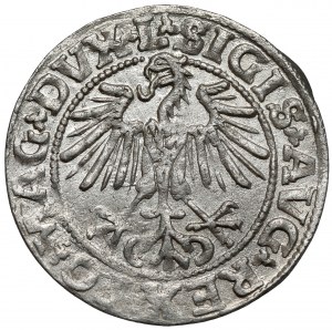 Sigismond II Auguste, demi-penny Vilnius 1549 - fin