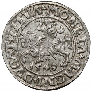 Zygmunt II August, Półgrosz Wilno 1549 - wczesny