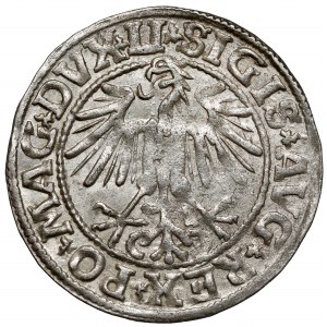 Zygmunt II August, Półgrosz Wilno 1549 - wczesny