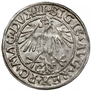 Sigismond II Auguste, demi-penny Vilnius 1549 - début