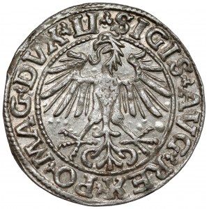 Zygmunt II August, Półgrosz Wilno 1550