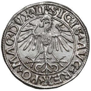 Zygmunt II August, Półgrosz Wilno 1550