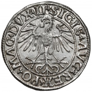 Sigismond II Auguste, demi-penny Vilnius 1550