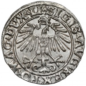 Sigismond II Auguste, demi-penny Vilnius 1551
