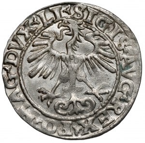 Sigismond II Auguste, demi-penny Vilnius 1554 - année rare