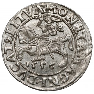 Zygmunt II August, Półgrosz Wilno 1556