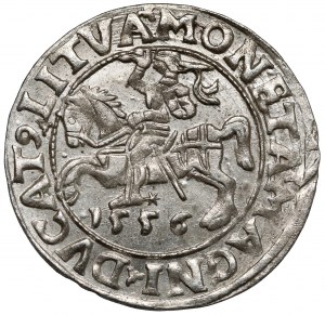 Sigismond II Auguste, demi-penny Vilnius 1556