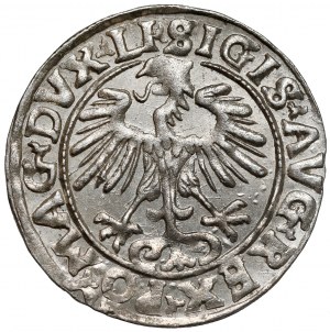Sigismond II Auguste, demi-penny Vilnius 1556