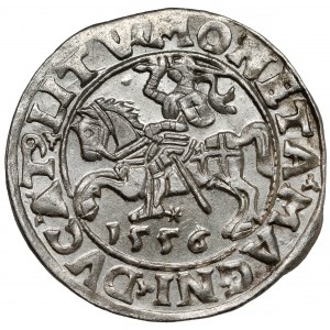 Zygmunt II August, Półgrosz Wilno 1556 - LITV
