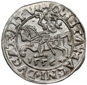 Zygmunt II August, Półgrosz Wilno 1556 - LITV