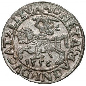Zygmunt II August, Półgrosz Wilno 1556