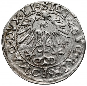 Sigismond II Auguste, demi-penny Vilnius 1556 - erreur de MANI