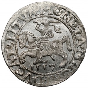 Sigismond II Auguste, demi-penny Vilnius 1557