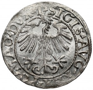 Sigismond II Auguste, demi-penny Vilnius 1557