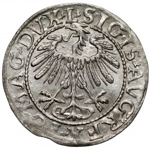 Zygmunt II August, Półgrosz Wilno 1557 - LITV