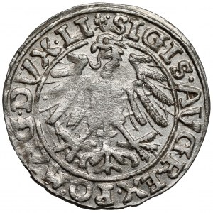 Sigismond II Auguste, demi-penny Vilnius 1557 - double trèfle - RARE