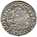 Zygmunt II August, Półgrosz Wilno 1557 - koniczyna - RZADKI