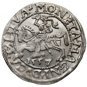 Zygmunt II August, Półgrosz Wilno 1557