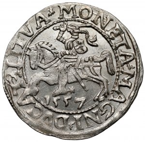 Sigismond II Auguste, demi-penny Vilnius 1557