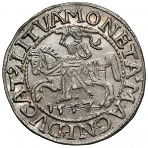 Zygmunt II August, Półgrosz Wilno 1557