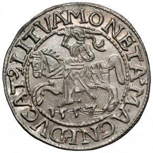 Sigismond II Auguste, demi-penny Vilnius 1557