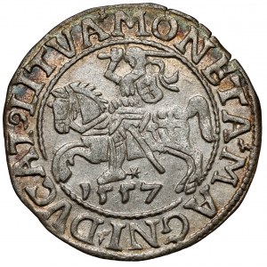 Zygmunt II August, Półgrosz Wilno 1557