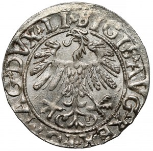 Sigismond II Auguste, demi-penny Vilnius 1558