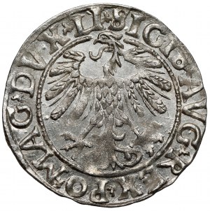 Sigismond II Auguste, demi-penny Vilnius 1558