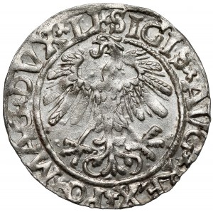 Sigismond II Auguste, demi-penny Vilnius 1558