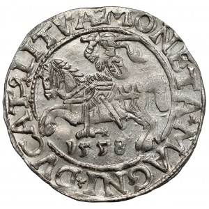 Zygmunt II August, Półgrosz Wilno 1558