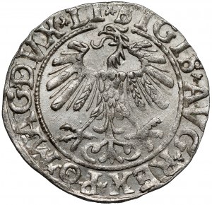 Sigismond II Auguste, demi-penny Vilnius 1558